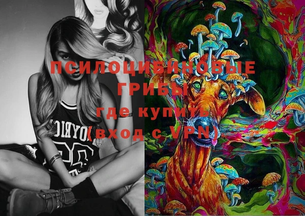 хмурый Магас