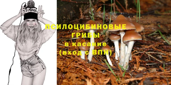 мет Мегион