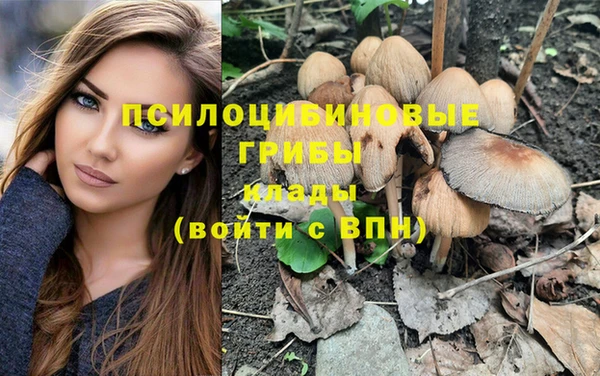 мет Мегион