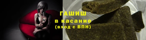 хмурый Магас