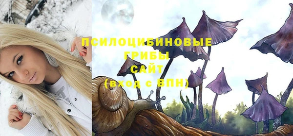 хмурый Магас