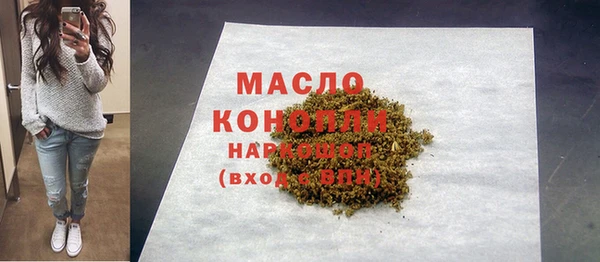 молекула духа Медногорск