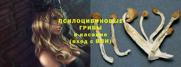 мет Мегион