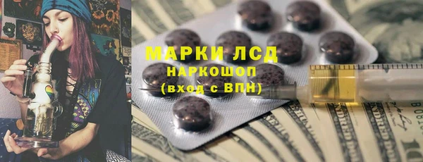 трава Анжеро-Судженск