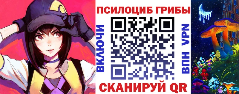 маркетплейс состав  Мостовской  Псилоцибиновые грибы Psilocybine cubensis 